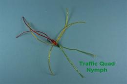 Traffic Quad Nymphs